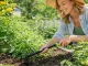 Garden Hoe & Rake 2-in-1, 30cm, Black/Green