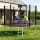 4FIZJO dārza batuts CLASSIC ar tīklu un kāpnēm 312 cm 10 FT, rozā un melns