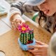 LEGO Botanicals 11509 Цветущий кактус