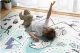 Izglītojošs sarullējams bērnu putu paklājs Nukido NK-342 | Kids Roll-up Foam Mat