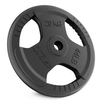 4FIZJO čuguna svaru disks 20 kg (26 mm)