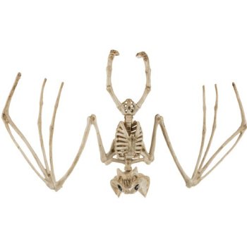 Malatec 00022005 Bat Skeleton - Halloween Decoration, 30 cm, Beige