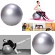 Exercise Fitness Gym Ball 65 cm