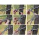 Colorful Garden Hammock 190x150 см