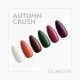 Гель-лак Claresa Autumn Crush 1, 5 г