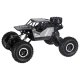 RC Rock Crawler 4x4 LHC012 2-in-1 Remote Control Car, Black