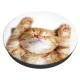 Popsockets 2 Snoozy Cat держатель и подставка для телефона