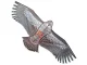 Lidojošais Pūķis Ērglis, 200cm | Flying Kite Eagle