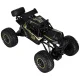 Rock Crawler Remote Control Car 2.4GHz 1:8, 51cm, Black