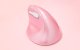 Bezvadu vertikālā pele Delux M618Mini DB BT+2.4G 2400DPI (rozā) | Wireless Vertical Mouse (pink)