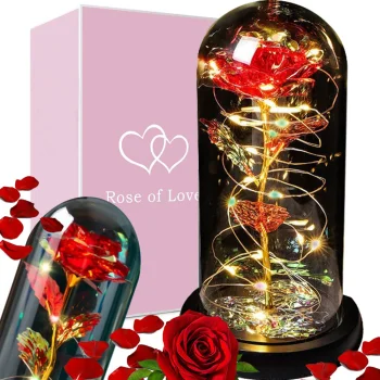 Enchanted Eternal Rose in Glass Dome with RGB LED Lights, Unique Gift for Her, Red