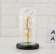 Eternal Rose in Glass with LED, White