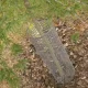 Plastmasas aizsargsiets QUADRA 10, 1x5 m, acs 10x10 mm, sudraba