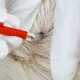Ērču izņemšanas pincete suņiem un kaķiem, 9 cm, sarkana