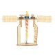 Educational DIY Magnetic Experiment Kit 4-in-1