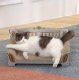 Kaķu Skrāpēšanas Postenis Dīvāns | Cat Scratching Post Sofa
