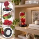 Mūžīgā roze stikla kupolā ar LED apgaismojumu Glimz, 22 cm, sarkana