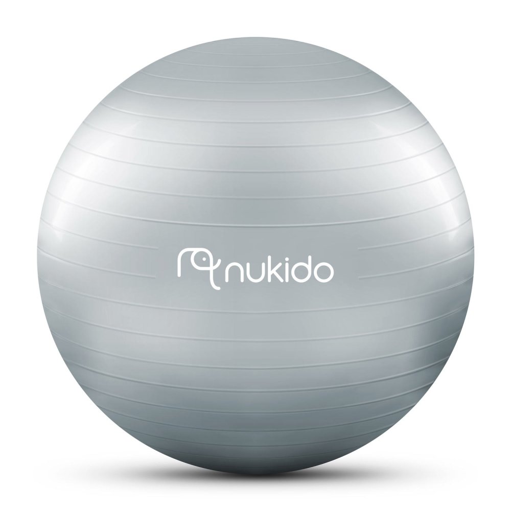 Nukido 65 cm Gray Pregnancy Exercise Ball NS-951 - Perfect for Aerobics & Fitness (1)