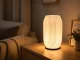 Dekoratīva galda lampa un vāze 2-in-1 LED RGB ar pulti, Ecru