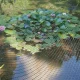 Многофункциональная пластиковая сетка AVIARY 2 x 200 м, черная