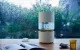 Smartmi Rainforest Humidifier | Увлажнитель воздуха