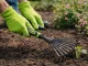 DIVODV Hand Rake for Garden, 38cm, Black/Green