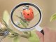 Classic Handheld Magnifying Glass for Reading 95mm 3x