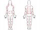 Brush Improving Blood Circulation for Dry and Wet Body Massage