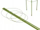 Plant Support Ring 90 cm with 3 Adjustable Rings, Green