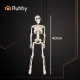 Ruhhy 40cm Posable Skeleton for Halloween, White