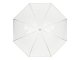 Large Transparent Umbrella for Weddings and Photo Sessions
