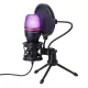 Wozinsky WM-W111 vadu kondensatora spēļu mikrofons ar statīvu un RGB apgaismojumu, melns