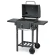 Угольный гриль Berdsen BD-892 BBQChef, антрацит