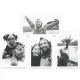 Камера моментальной печати Easypix InstantFUN белая
