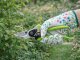 Garden Pruning Shears DIVO 27890 Hand Secateurs for Branches, Green