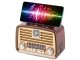 Speaker Mobile Radio Fm Am Bluetooth with Antenna