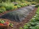 DIVODV Pretnezāļu Agroplēve 50g/m² 1.5m x 50m, Melna