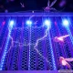 Electric UV Insect Killer Lamp for Mosquitoes and Flies, Rechargeable