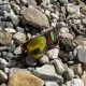 Trizand Polarizētas Sporta Velo Saulesbrilles UV400, Oranžā | Sports Sunglasses Outdoor Sports Cycling Glasses