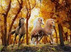 Diamond Mosaic Embroidery Kit Painting 5D Running Horses 40x30 cm