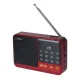 Setty Mini FM Radio + Bluetooth Speaker SFM-01M