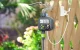 RainPoint ITV517V6-RS Irrigation Controller with Rain Sensor, LCD, IP54