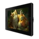 Графический планшет Huion Kamvas Pro 13 GT133