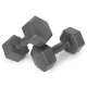 Sešstūra hantelu komplekts 2×2 kg mājas fitnesam ModernHome, pelēks