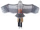 Flying Kite Eagle, 200cm