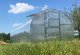 Greenhouse Baltic Lt 3X6M With 4Mm Polycarbonate Coating; 4779037491247