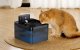 Rojeco Wireless 2.2L smart pet fountain/drinker