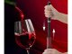 Pneumatic Wine Corkscrew with Foil Cutter, Black