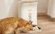 PetWant F11-C Automatic Feeder Bowl Container Food Dispenser for Dogs Cats with Camera