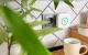 Датчик природного газа Shelly Gas CNG WiFi